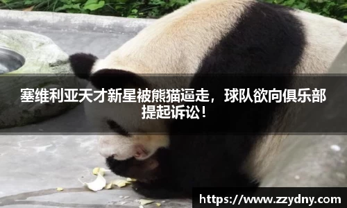 塞维利亚天才新星被熊猫逼走，球队欲向俱乐部提起诉讼！