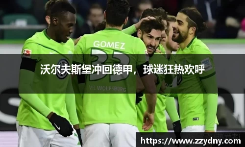 沃尔夫斯堡冲回德甲，球迷狂热欢呼