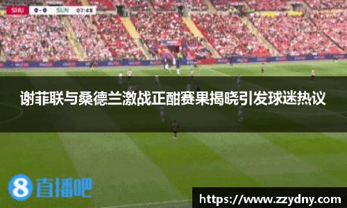 谢菲联与桑德兰激战正酣赛果揭晓引发球迷热议