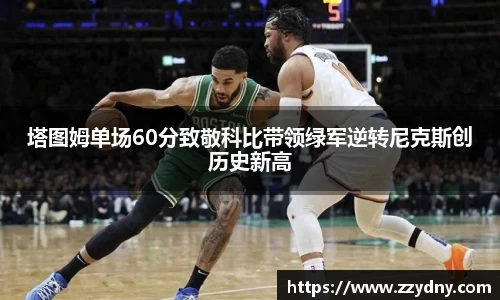 mgty芒果体育