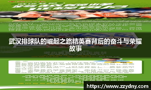 武汉排球队的崛起之路精英赛背后的奋斗与荣耀故事